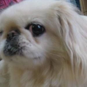 Meet your Posher, Manman